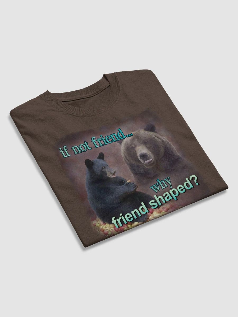 If Not Friend, Why Friend Shaped Bear T-shirt product image (3)