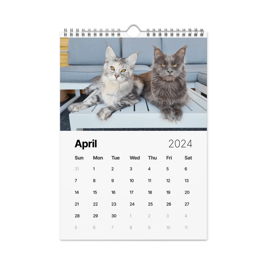 2024 Calendar - Adventures with Maine Coons product image (1)