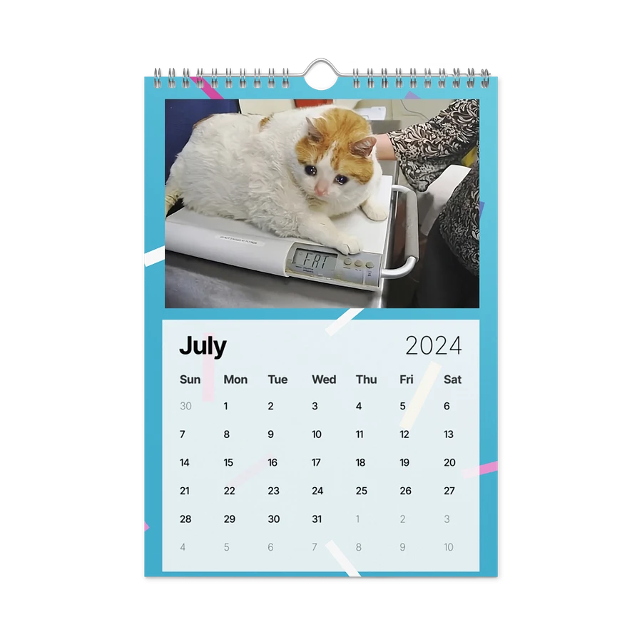 Wall Calendar (2024): Meme Cats product image (10)