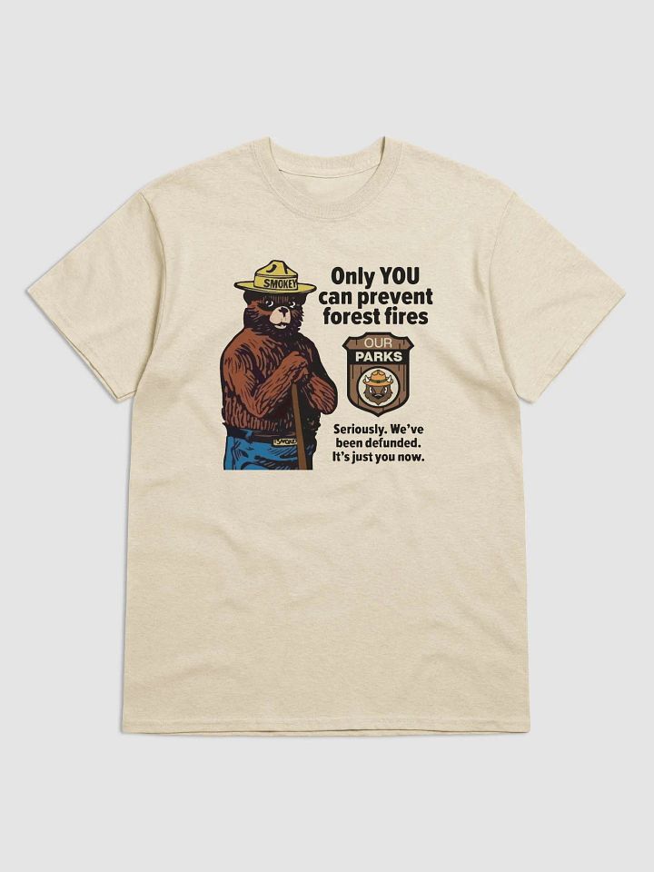 We've been DEFUNDED Smokey Our Parks Bear Heavyweight Alt National Parks T-Shirt product image (1)