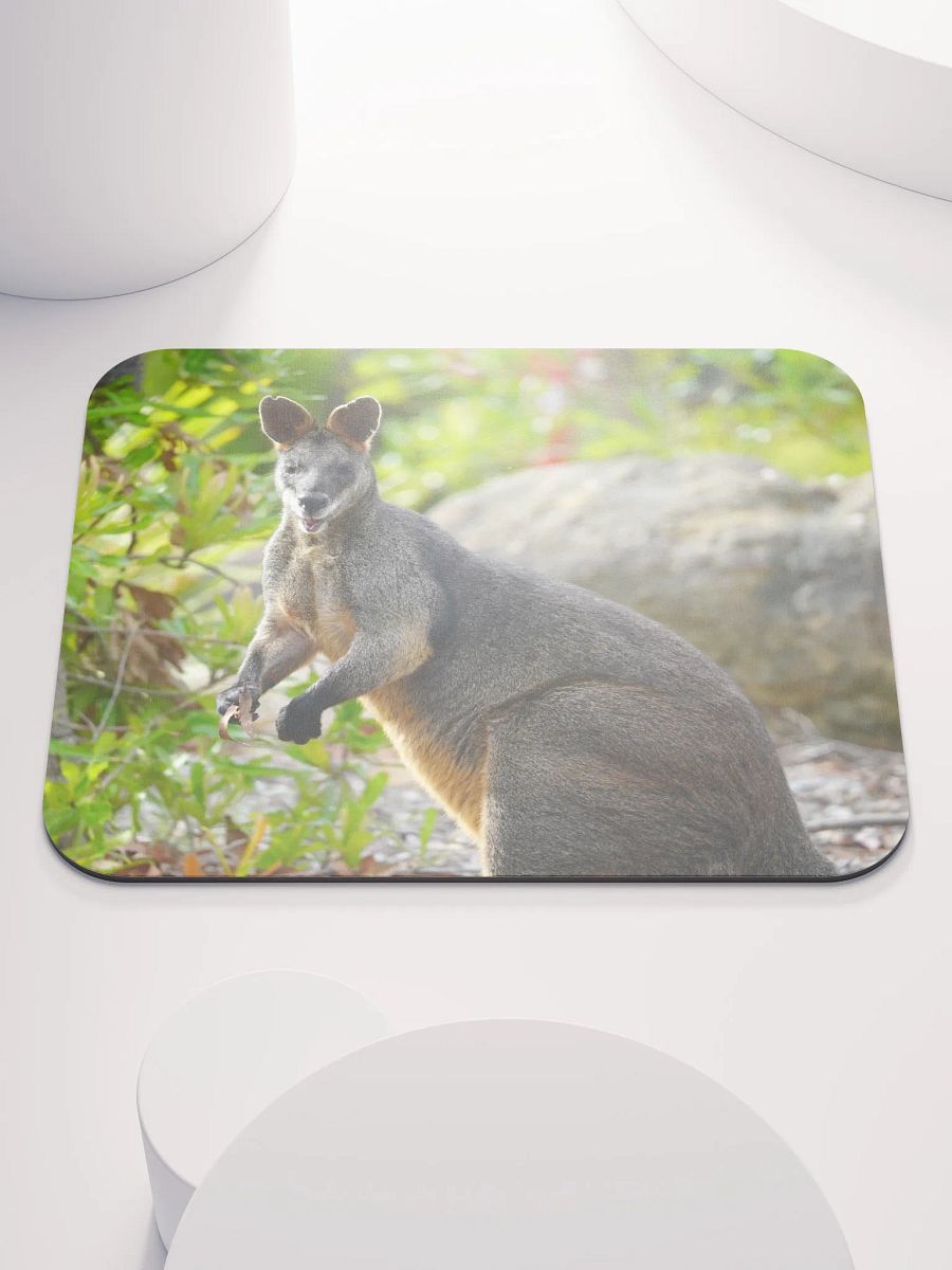 Kangaroo on a Mouse Pad product image (1)