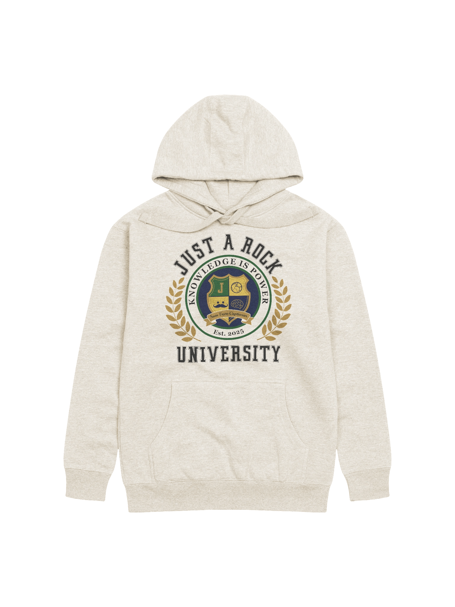 University Hoodie product image (2)
