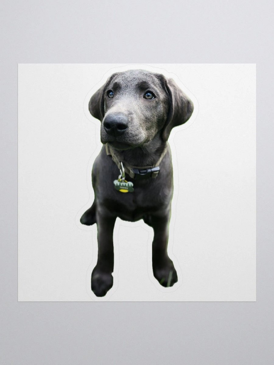 Sokka sticker product image (1)
