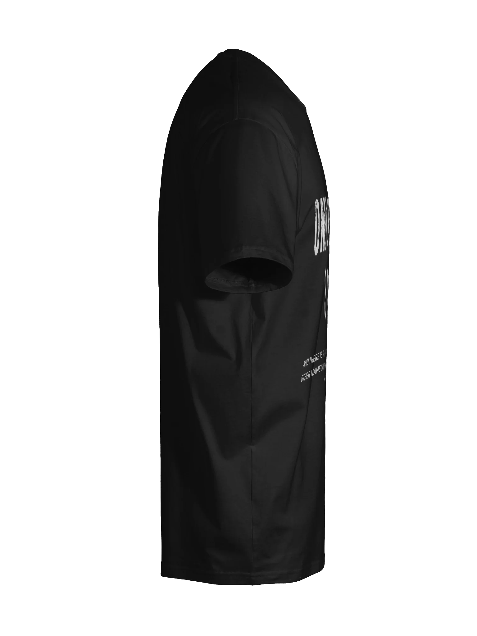 Only Jesus Saves – Acts 4:12 Tee product image (10)