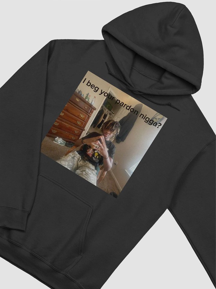 Wockhardt I beg your pardon Hoodie product image (2)