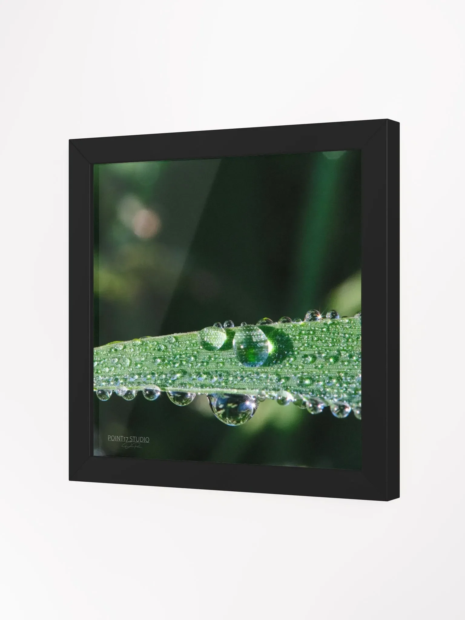 Dew Gems #2 - Framed Print product image (10)