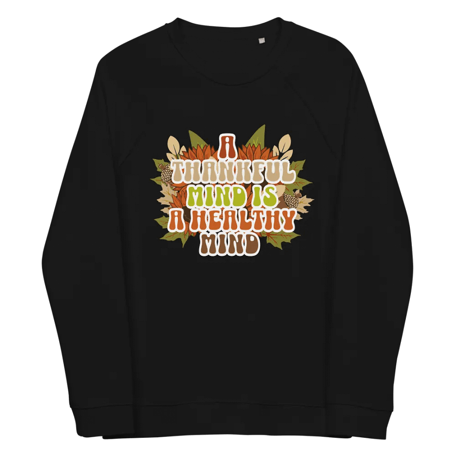 Thankful Mind Organic Raglan Sweatshirt product image (3)