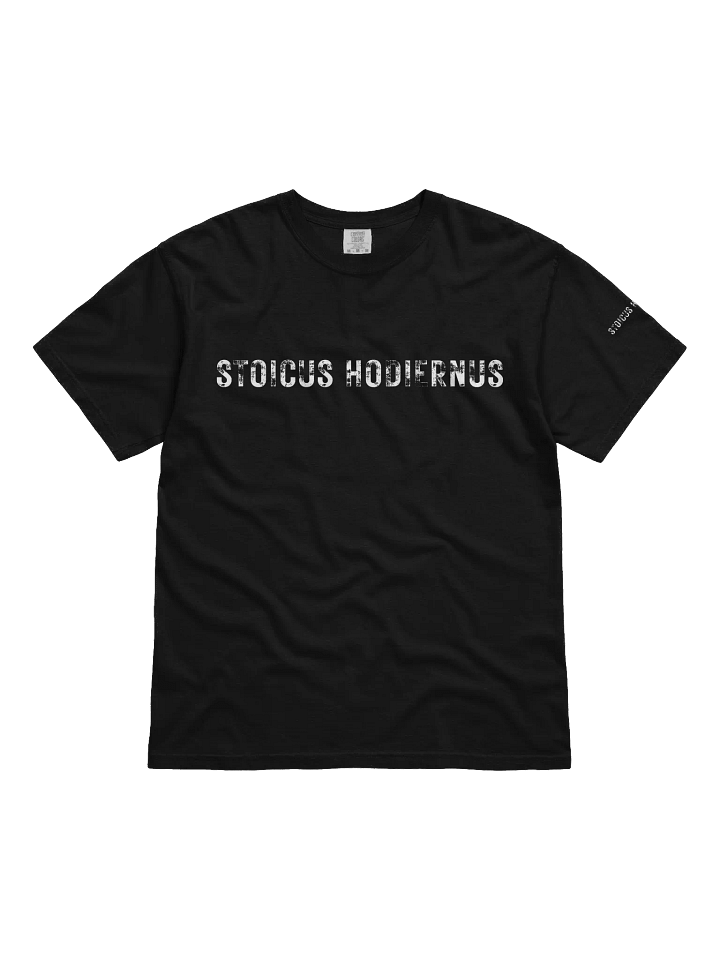 “Stoicus Hodiernus” – Modern Icarus Tee product image (3)