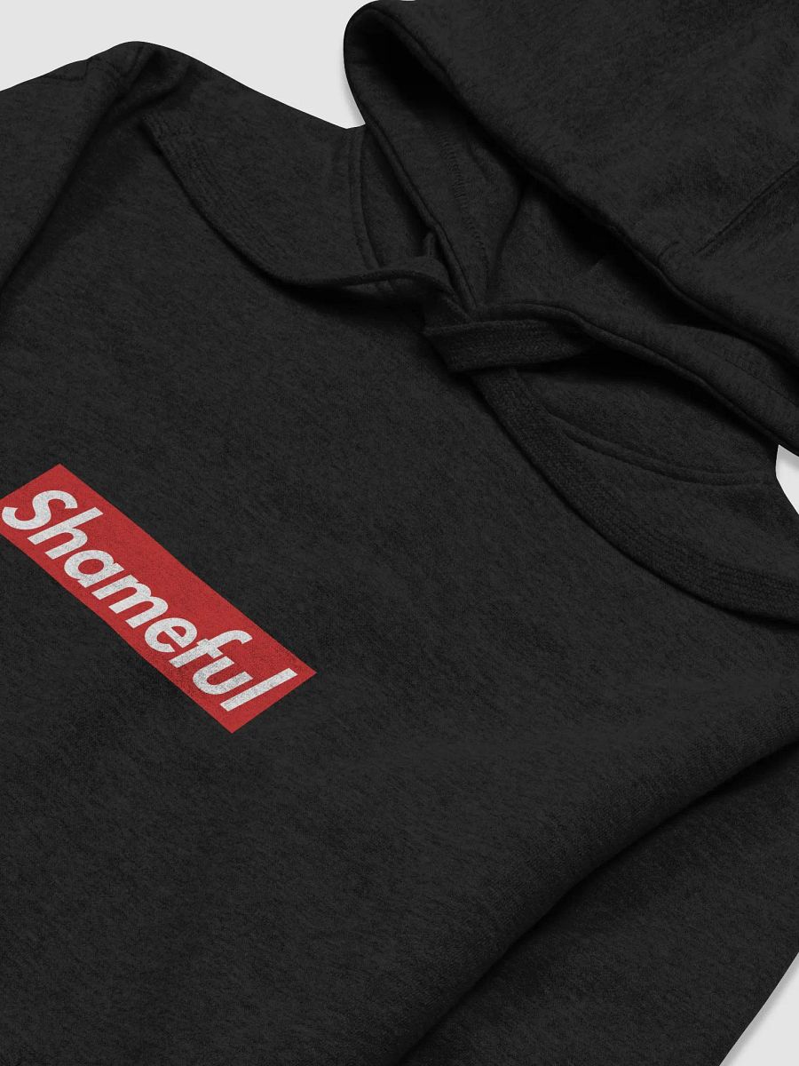 Shameful Hoodie product image (3)