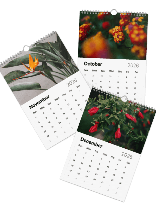2026 Maui Flora Calendar - Photography by Kayla x Ruble product image (5)