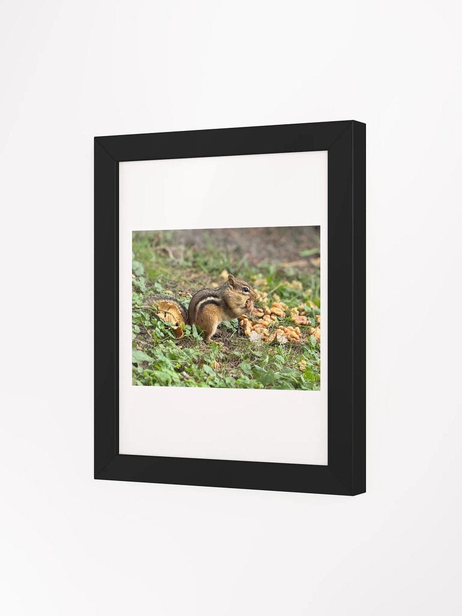 Chipmunk Delight Matte Poster product image (18)