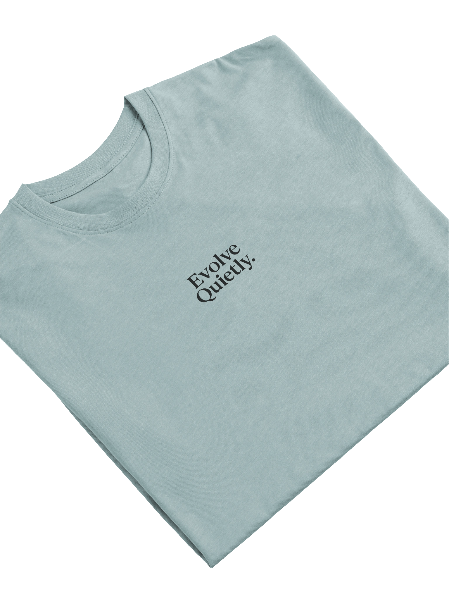 “Evolve Quietly.” Minimal Tee product image (42)