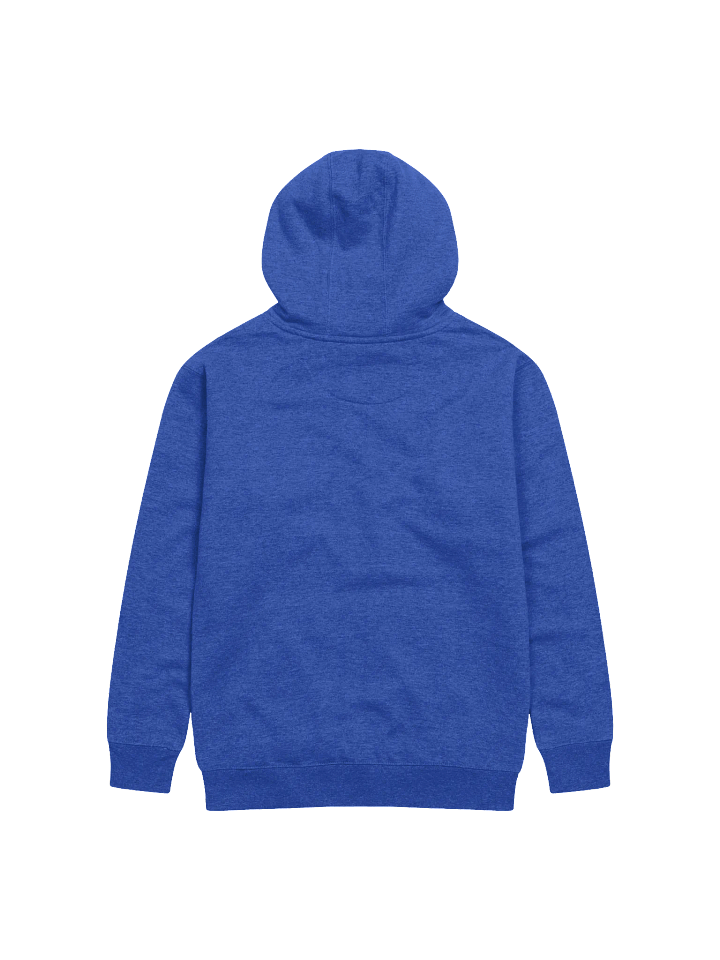 Black-Backed Gulls unisex hoodie product image (11)