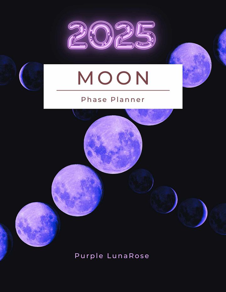 2025 Moon Phase Planner product image (1)