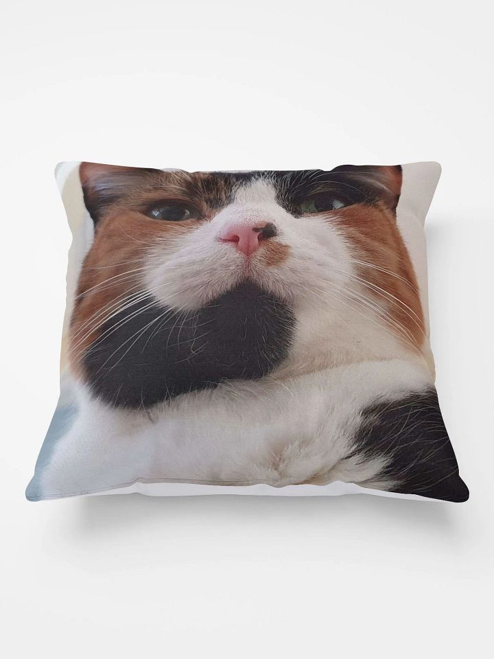 Rosie The Queen Pillow product image (1)