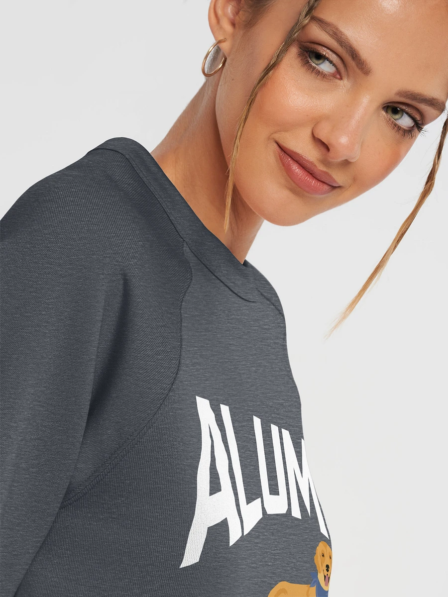 Alumni Golden Academy Bella & Canvas Sweatshirt product image (15)