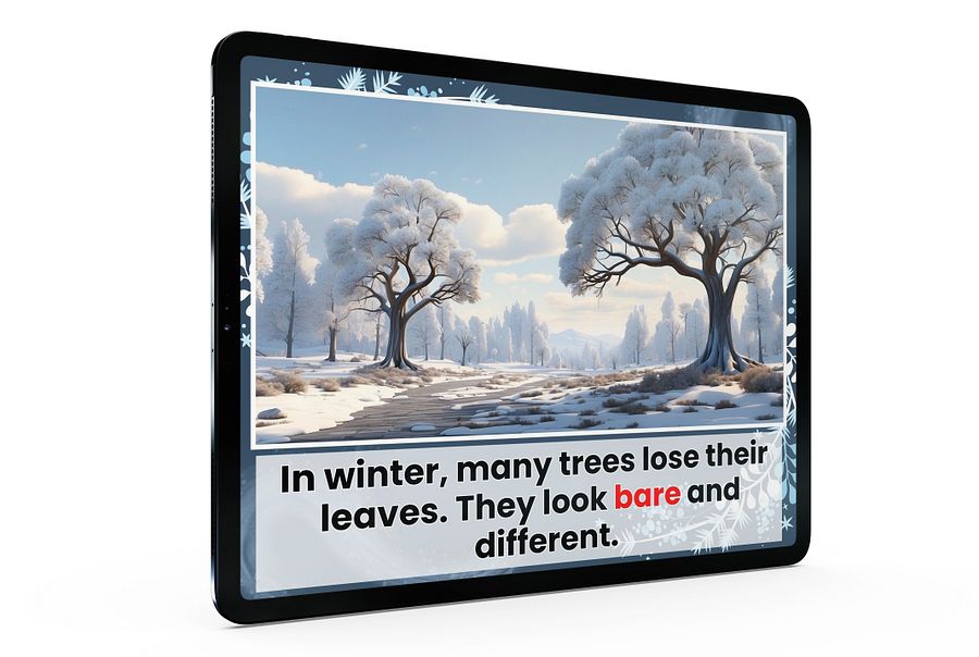 Winter product image (3)