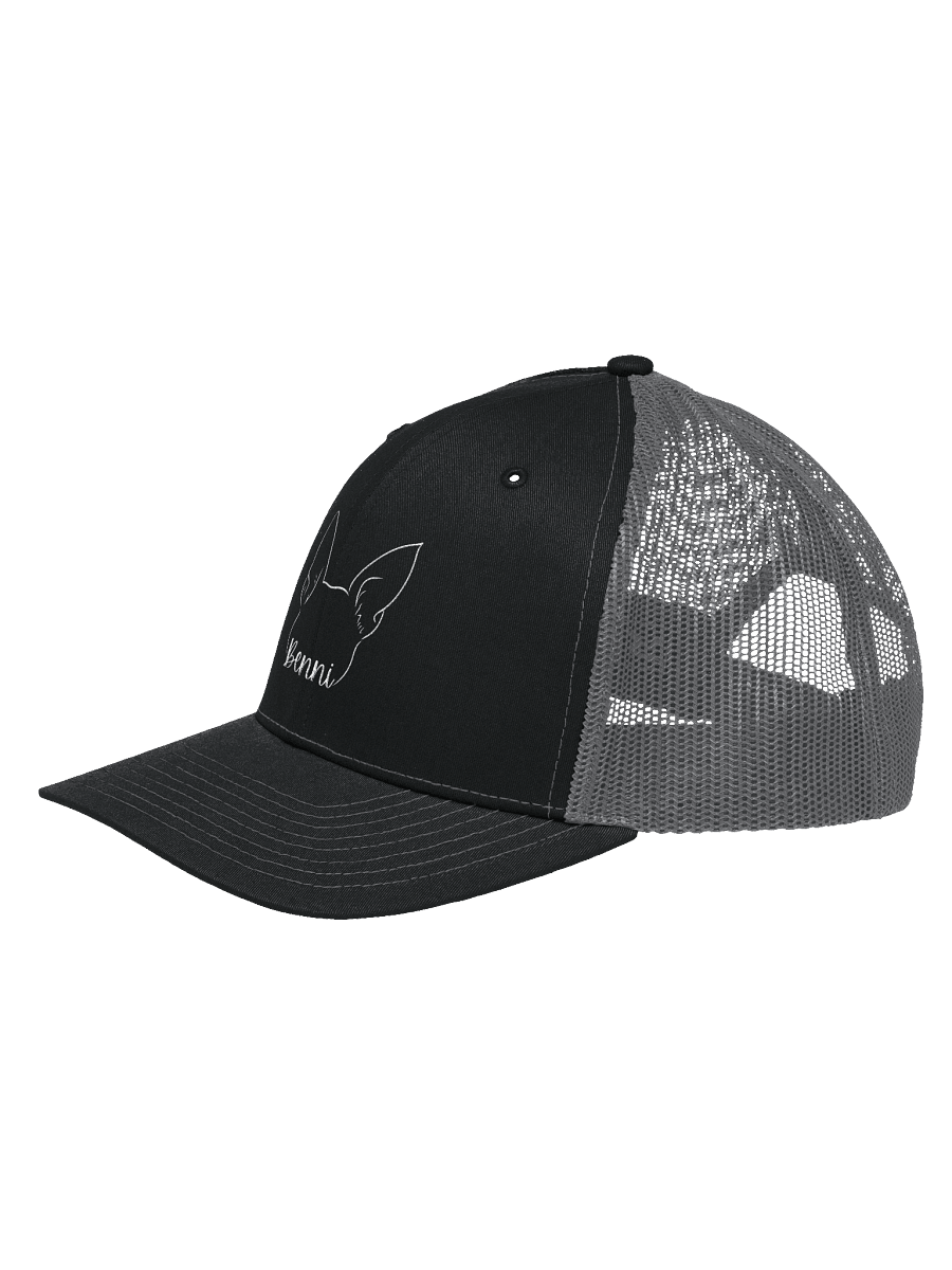 Benni Trucker product image (2)