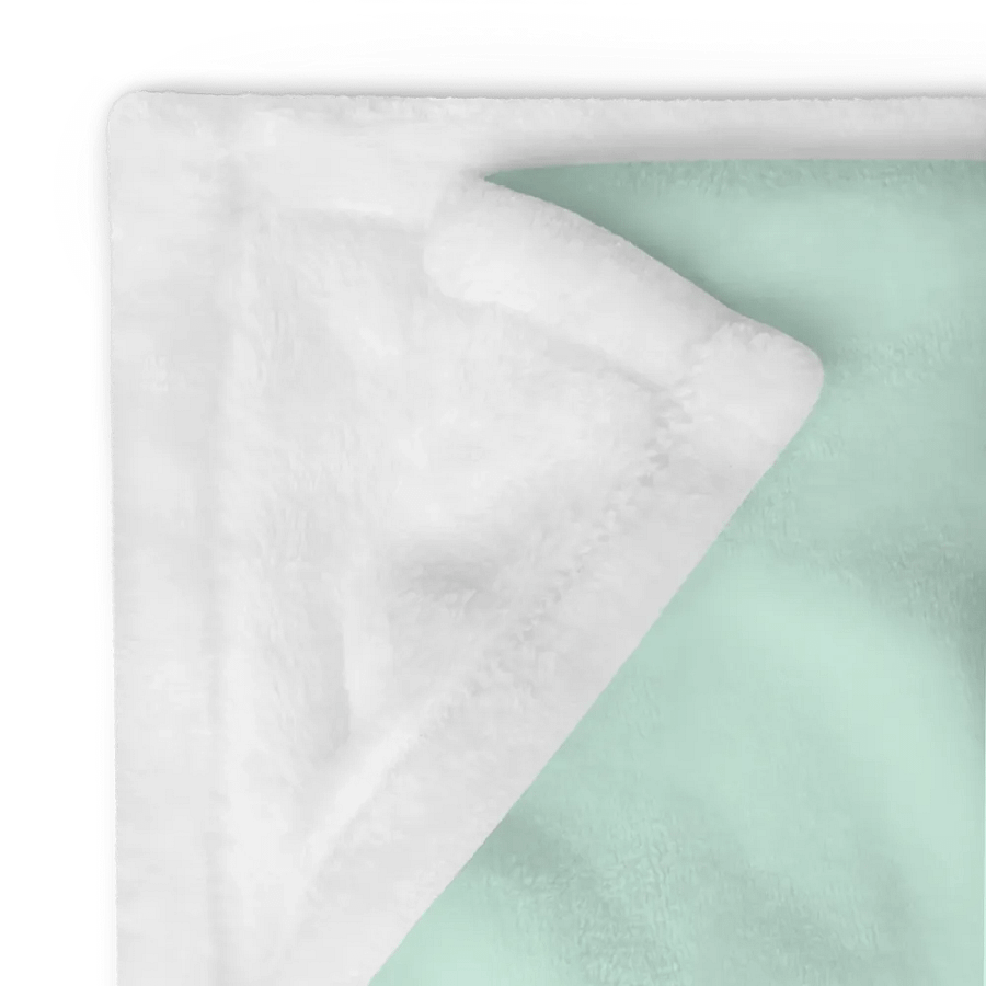 Choose Your Accessory Blanket! product image (10)