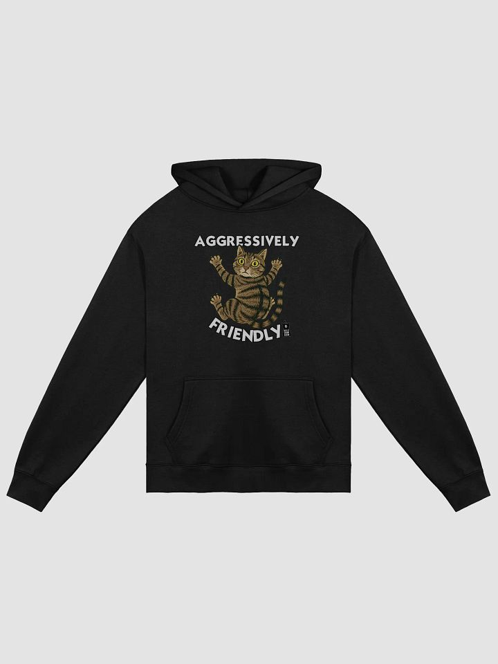 Ginny Barn Cat "Aggressively Friendly" Hoodie product image (3)