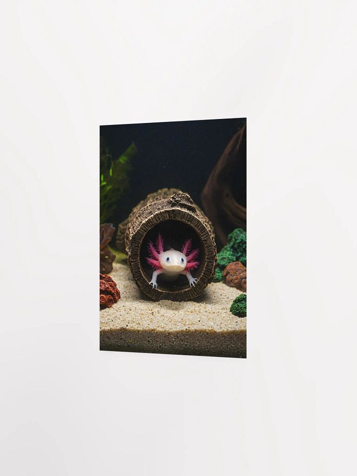 The Axolotl's Abode product image (11)