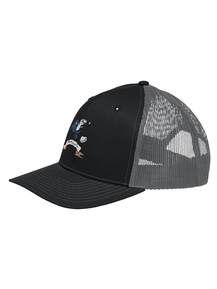 Classic RVA Logo Hat product image (2)