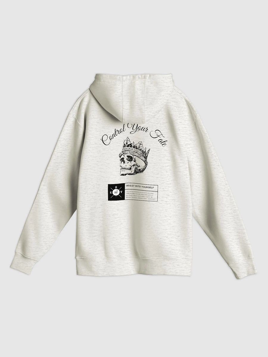 Control Your Fate Hoodie (Light) product image (1)