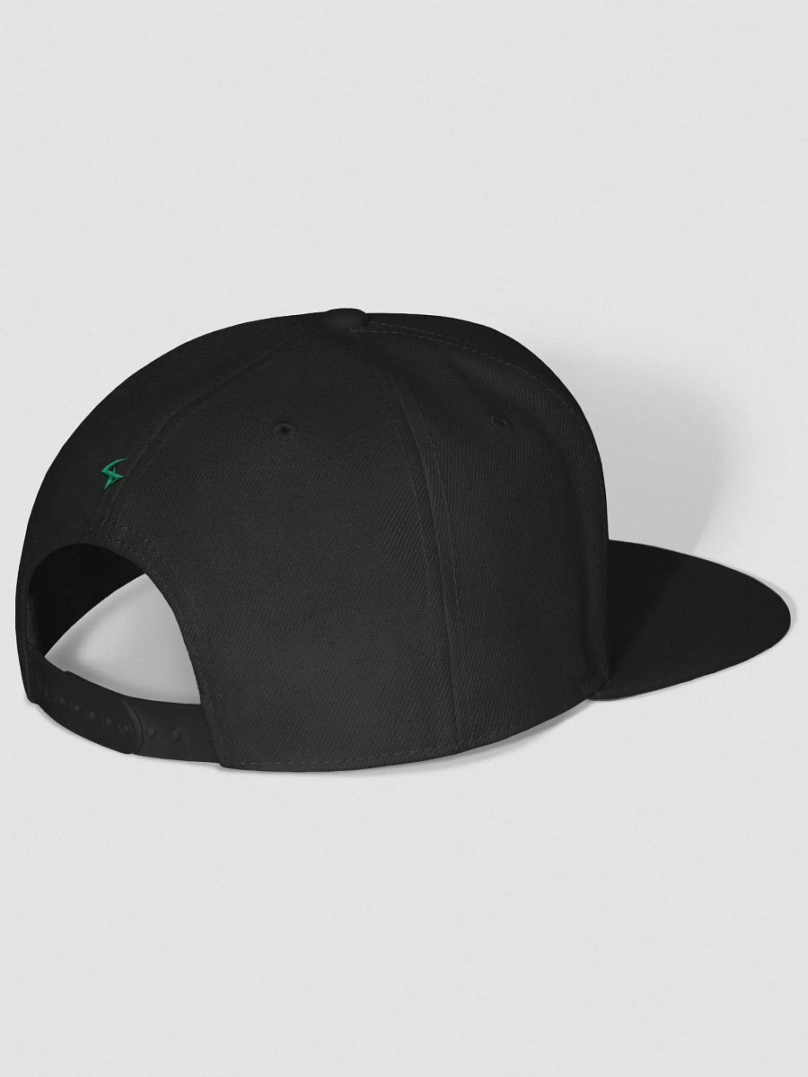 2LX Snapback product image (3)