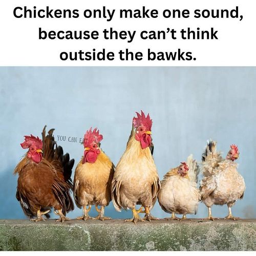 A little outside the Bawks humor for your Monday!