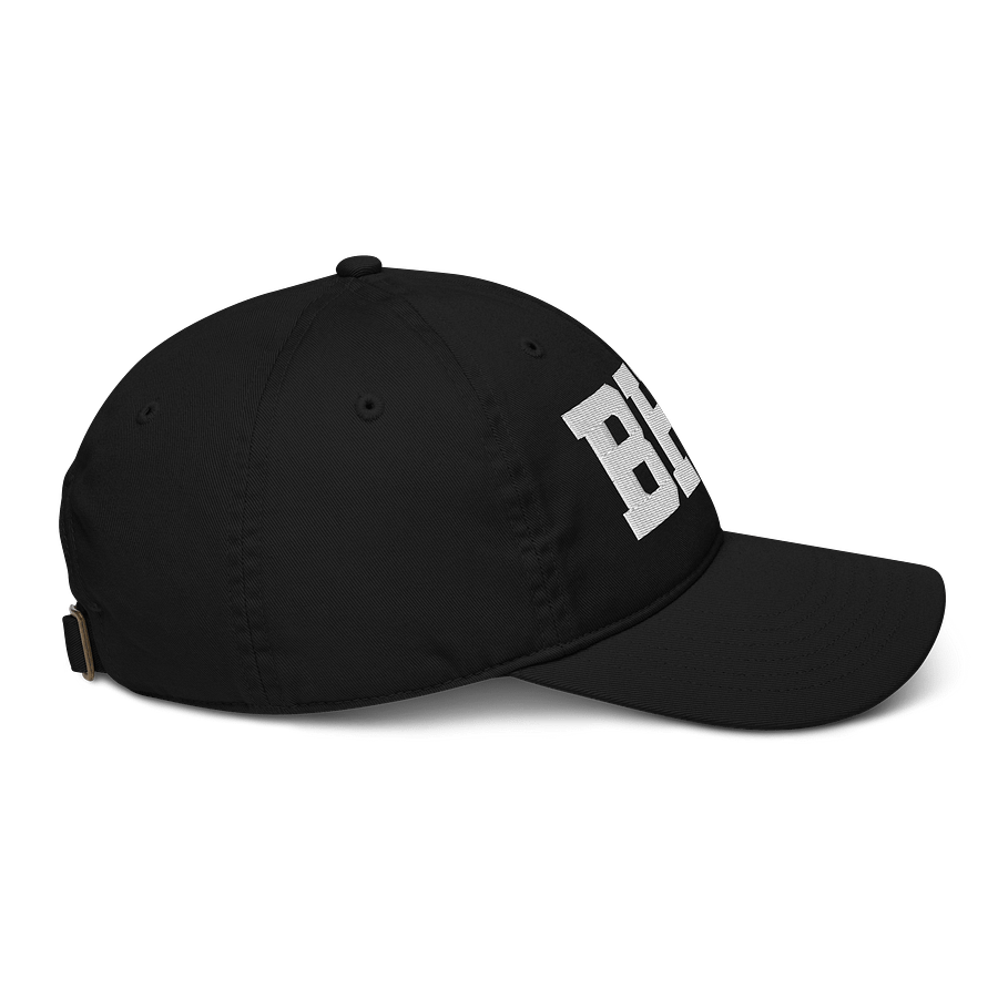 BHC Organic Dad Hat by Econscious product image (5)
