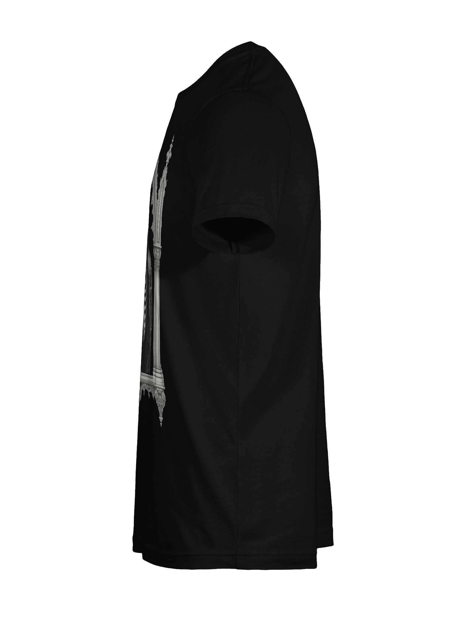 Raven Framed product image (11)