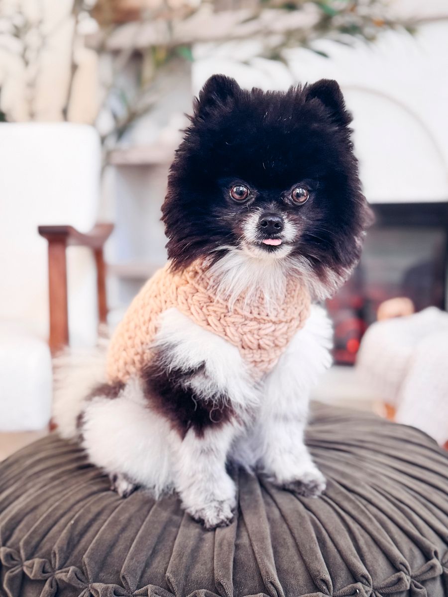 Wheat Stitch Dog Sweater Crochet Pattern in 8 Sizes product image (8)