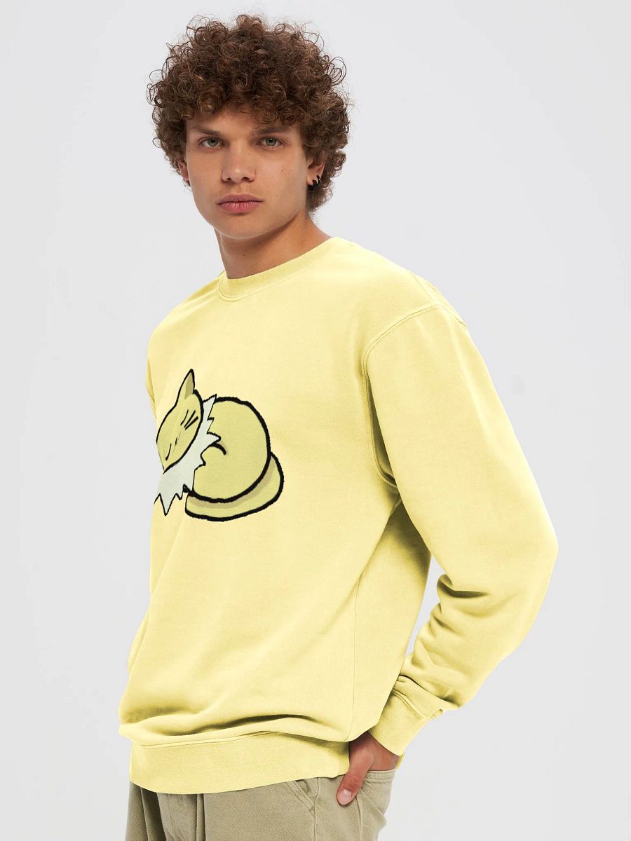 Special Cat Sleeping Sweatshirt product image (5)