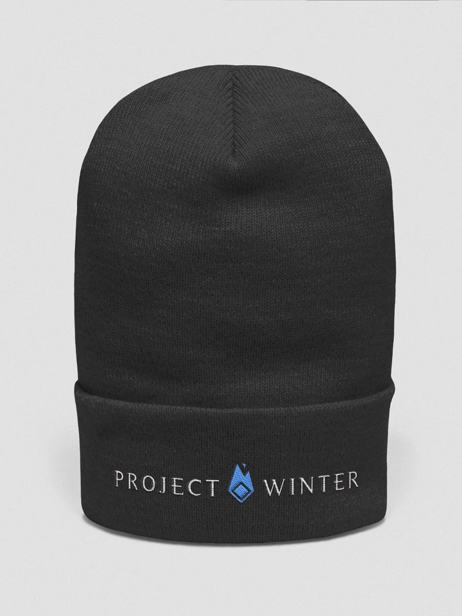 Basic Logo Beanie product image (3)