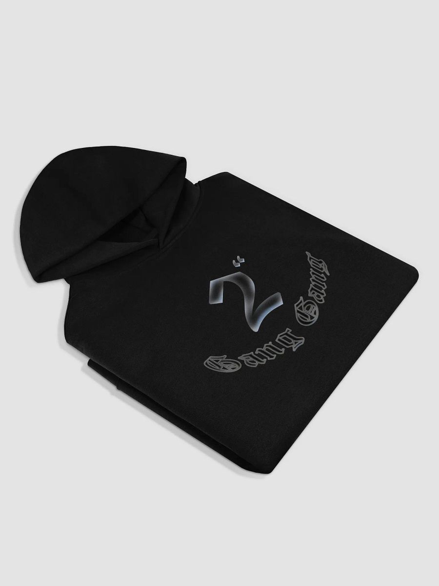 2in Hoodie product image (15)