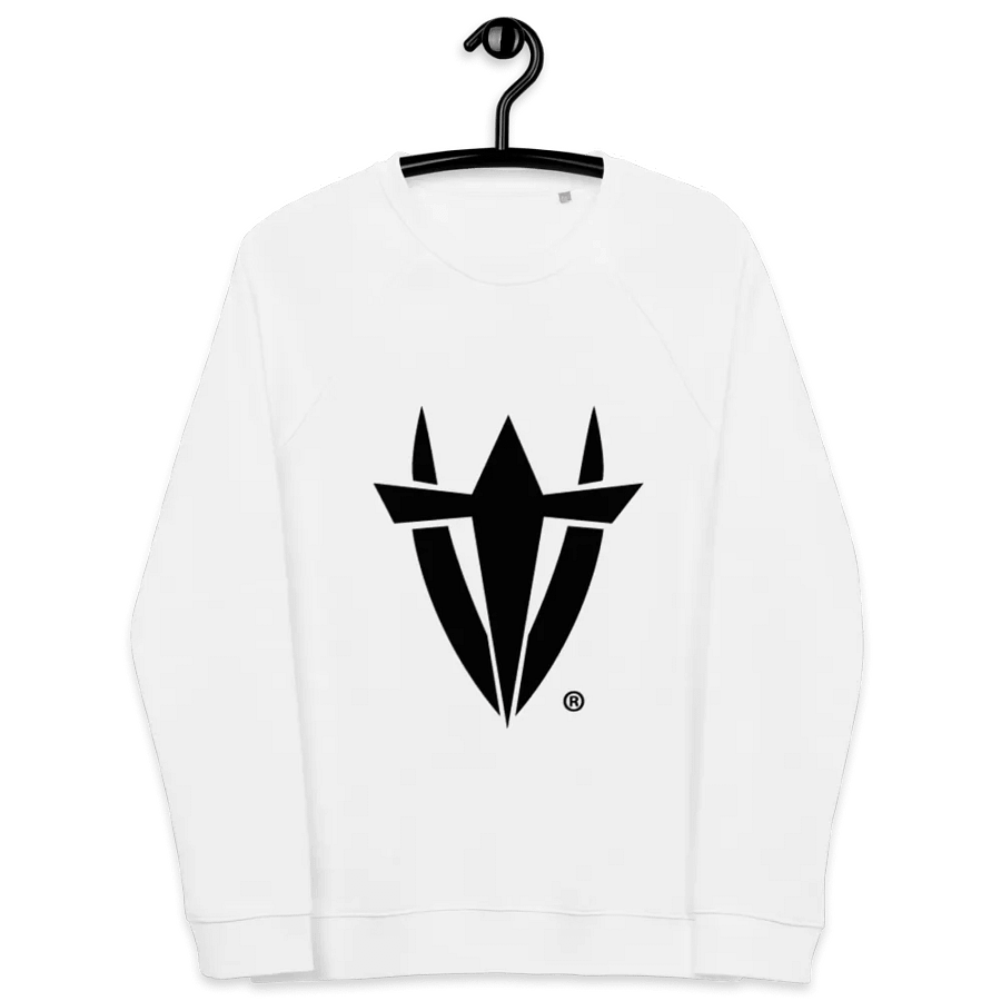Harvest V Raglan Sweatshirt5 product image (7)