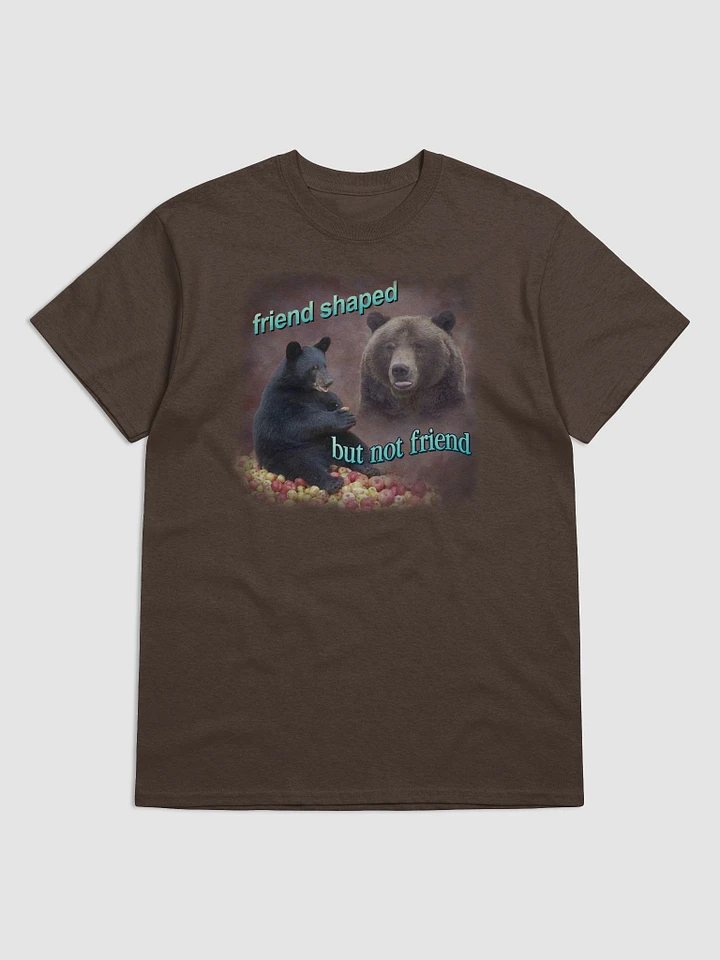 Friend Shaped, But Not Friend Bear T-shirt product image (1)
