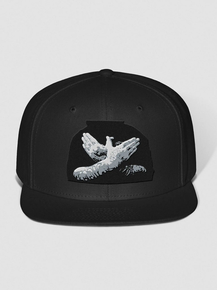 #tCt Cap product image (5)