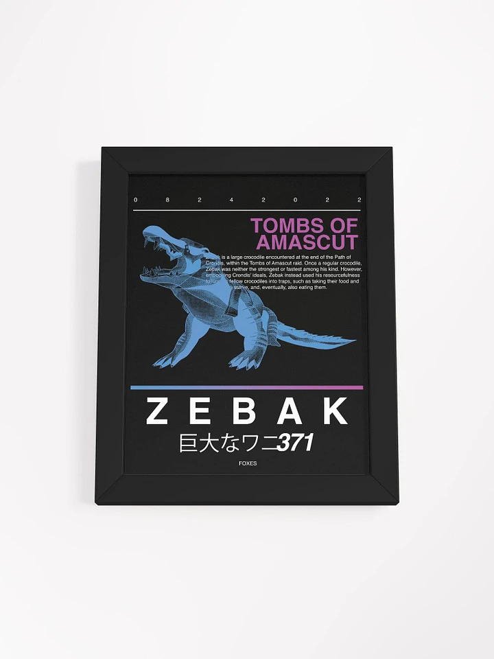 Zebak - Framed Print product image (1)
