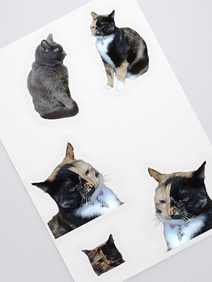 Judging Intensely Sticker Sheet product image (2)