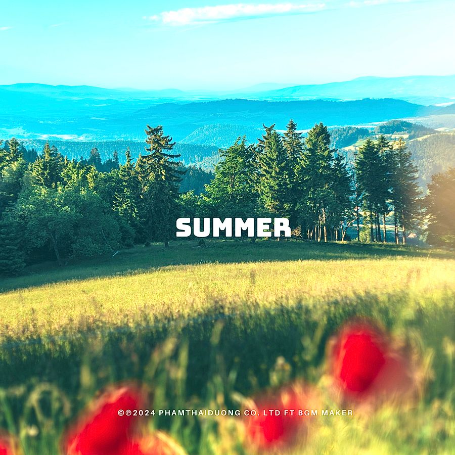 SUMMER product image (1)