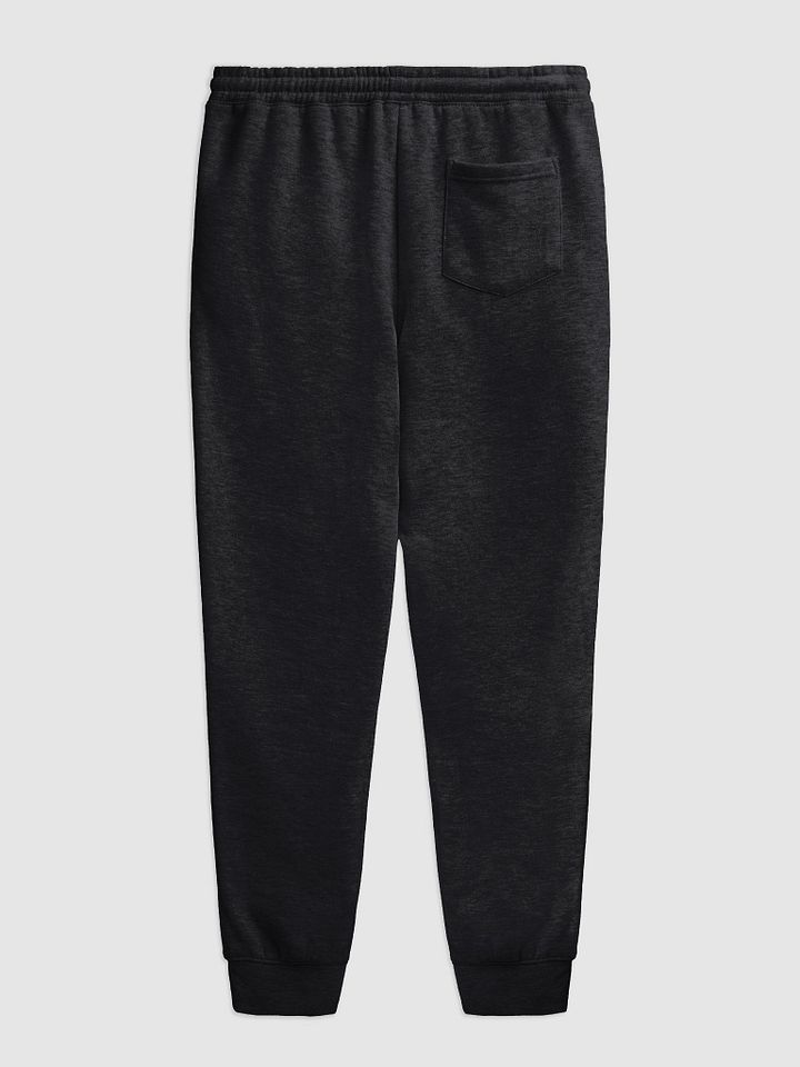 AfterLife Embroidered Joggers product image (2)