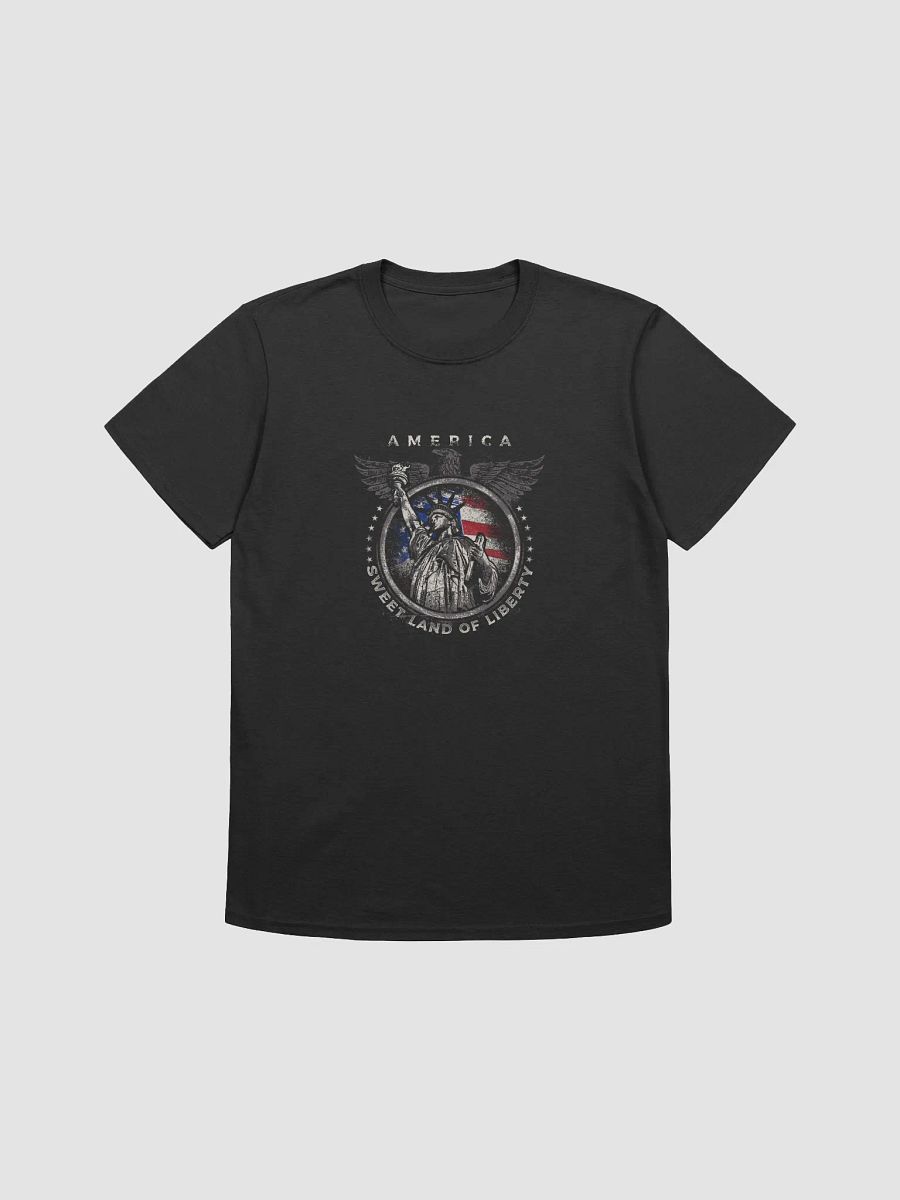 Retro American T-shirt product image (2)