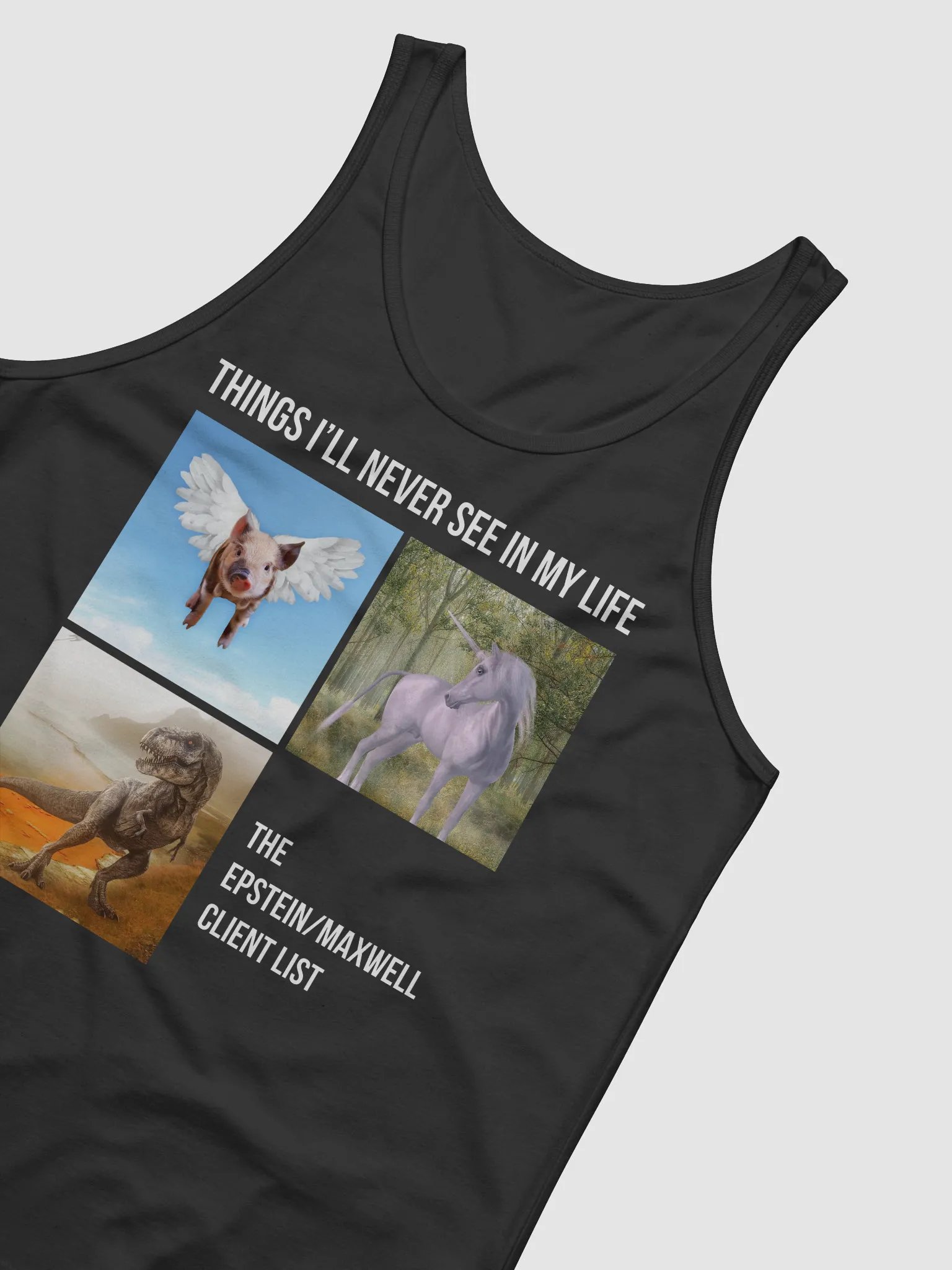 Things i'll never see product image (4)