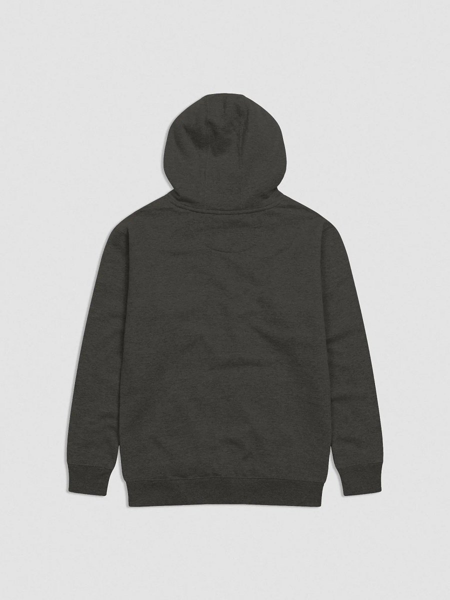 Embroidered Chest Logo Hoodie (Vintage Black) product image (2)