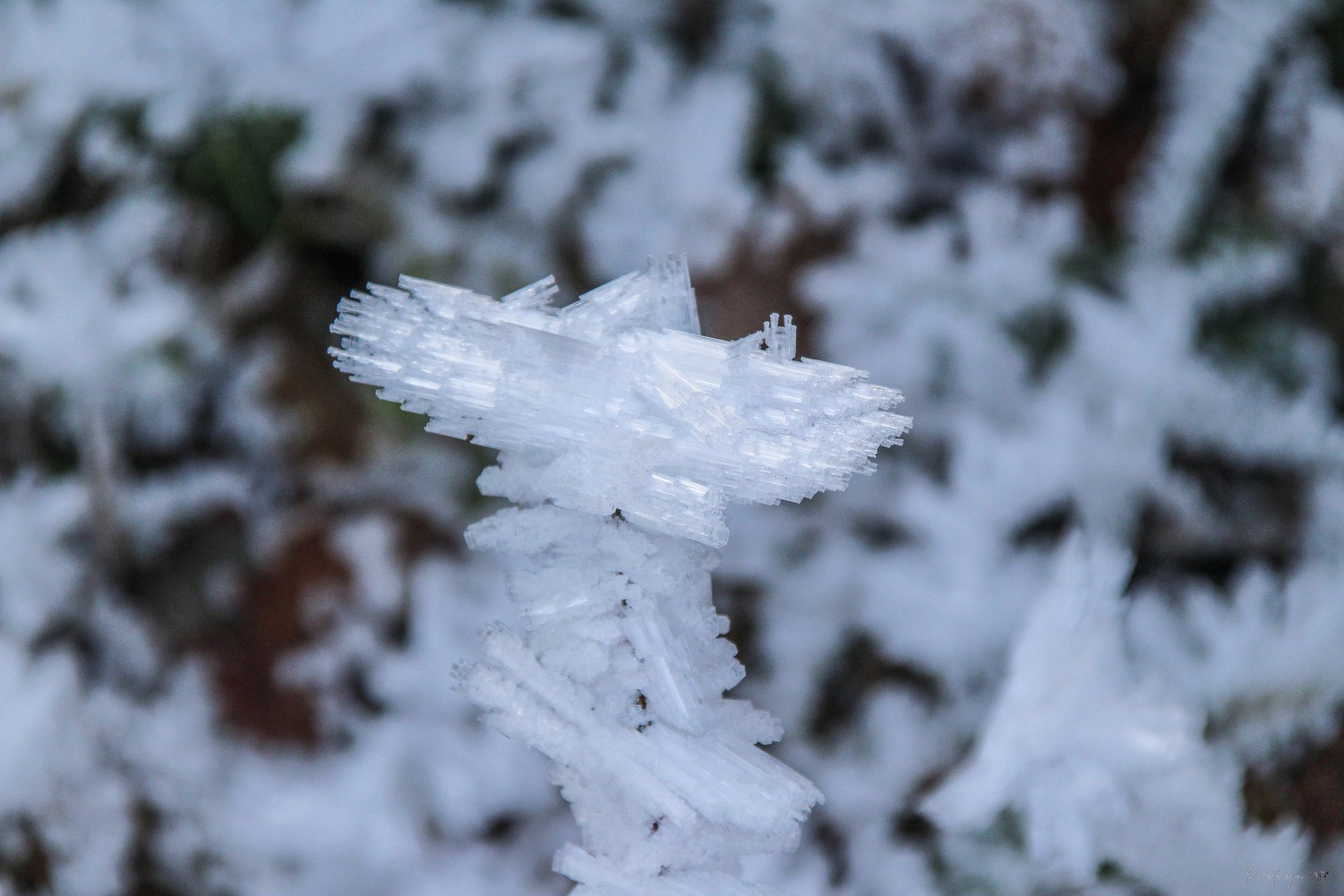 Fine Art Prestige - Frozen Elegance - Ice Sculptures of Vegay - Limites Edition product image (1)