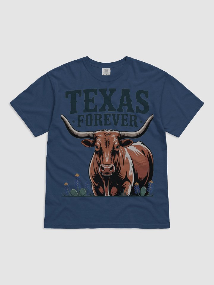 Texas Forever Heavyweight Tee product image (3)