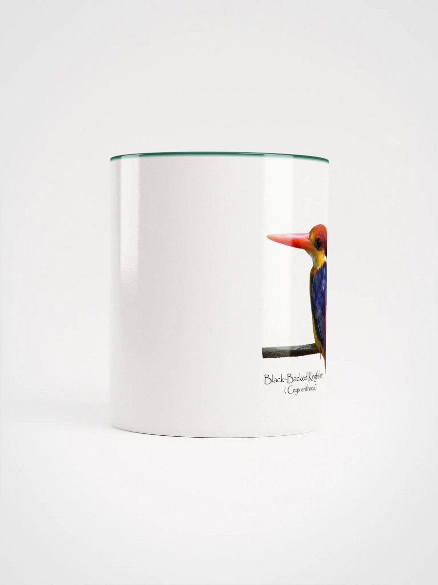 Oriental Dwarf Kingfisher product image (44)
