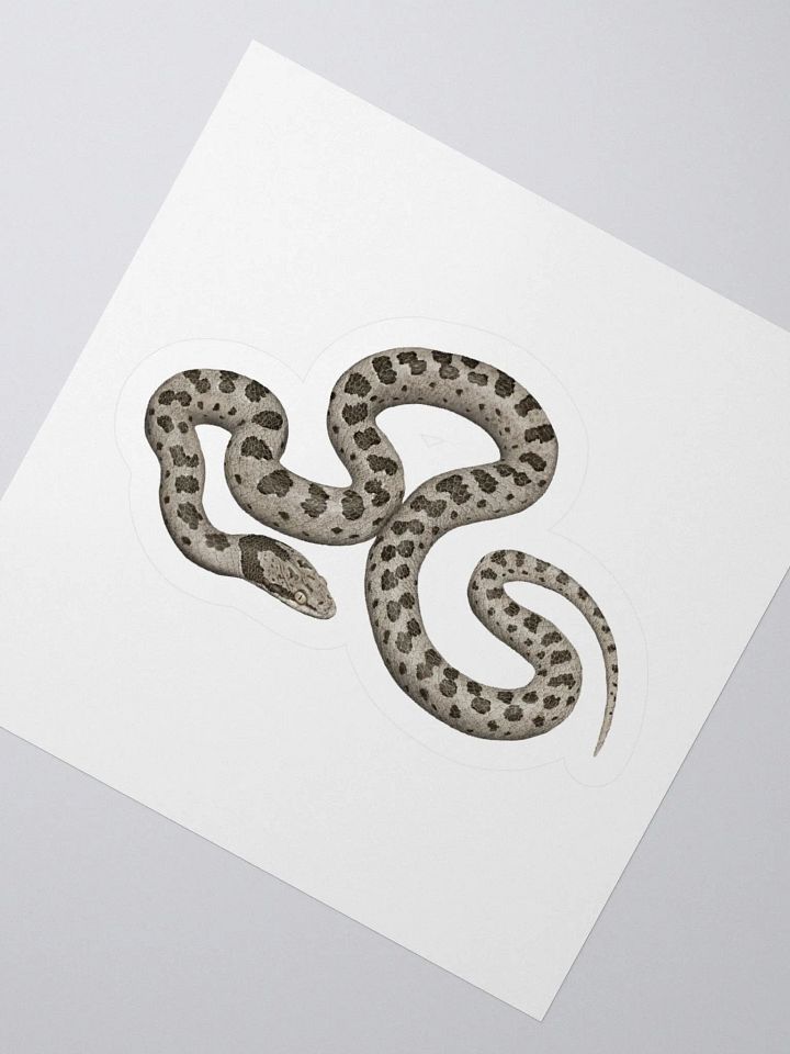 Die-Cut Sticker – Desert Nightsnake product image (2)