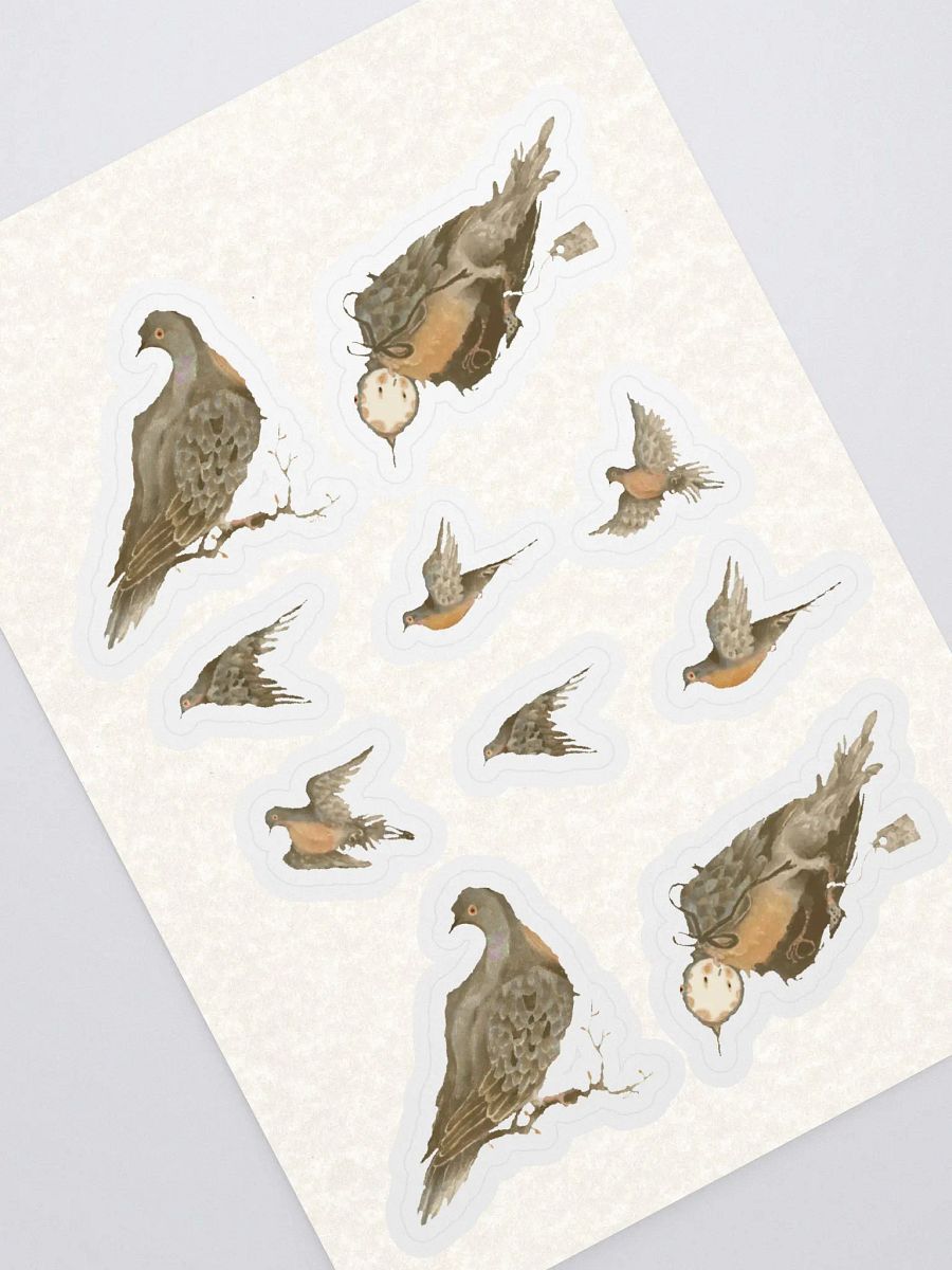 Passenger Pigeon product image (1)